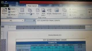 Excel Page Layout Problem|Pls help how to fix this