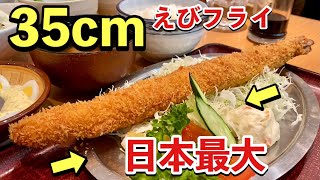 日本一の特大海老35cm『エビフライのお化け』飯テロ Japan's largest fried shrimp