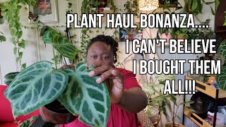 Massive Plant Haul