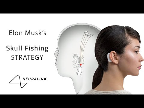 Elon Musk's Skull Fishing Strategy