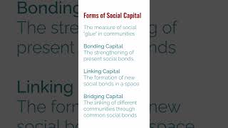 The two types of social capital Community Managers ignore | #Definitions #Shorts