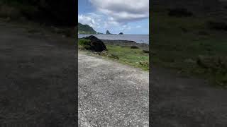 羊在蘭嶼代表財富