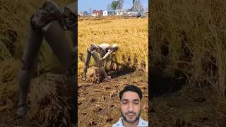 Robots harvesting grain.-The Reality of Living in China