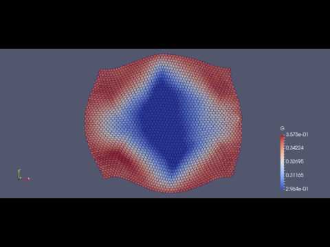 50 X 50 Rho GTPase CHASTE Simulation (Medium Adhesion)