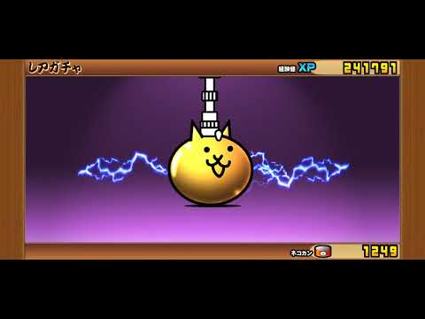 超極猫祭十連