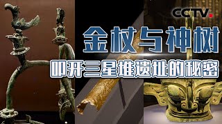 古老金杖神秘的图案里藏着什么样的密码？3.96米的青铜神树在遥远的3000多年前又是如何铸就的？20250102 三星闪耀 | CCTV科教《中华文明地标》