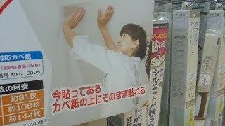Lady D.I.Y.  Experts in Japan