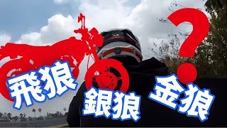 三老狼 不是三小狼喔 銀狼 飛狼 金狼