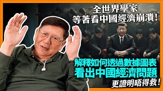 （中字）全世界經濟學家等著看中國經濟崩潰！我來解釋如何透過數據圖表看出中國經濟問題！《蕭若元：理論蕭析》2023-08-22