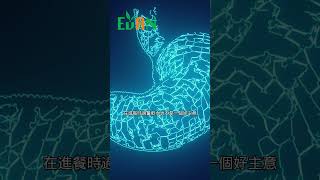 過量的水分攝入可能稀釋胃液，影響食物的消化。因此，控制好喝水的量是非常重要#艾門享受健康計畫 #飲食計畫 #減肥 #瘦身 #健康  #蔬果漾 #優菌多 #亮妍肌漾