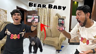 Jungle Logo Ny Bear Baby Pakar Lea 🐻 Hmara Lea 🥳