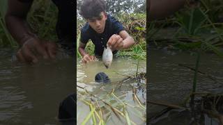 Unbelievable Fishing Technique. Catching big fish with dead fish#fish#fishing