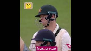out or not out !! #cricket #cricketlover #testcricket #cricketshorts #sports  @cricketcomau