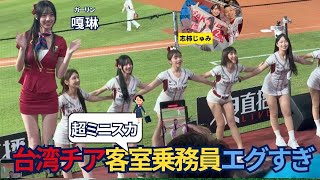 【衝撃】9頭身台湾チア嘎琳のキャビンアテンダント姿に悶絶【志柿じゅみ⭐︎楽天ガールズ】