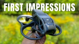 DJI Avata First Impression and First Flight - INCREDIBLE