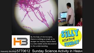 Microscope Slides Session 1 Standard 5 to 8. #scienceexperiment #biology #cytology #histology