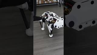 Giving My Robot The Boston Dynamics Treatment
