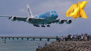 [4K]下地島空港新たな伝説! ギャラリー騒然の上空旋回迫力着陸! 2階建て380ホヌチャーターがやってきた! FLYING HONU Airbus A380