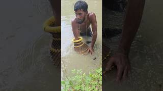 fishing time big big fish wow #bangladeshfishing #fishing #bigfish #safanafishing #justfishing