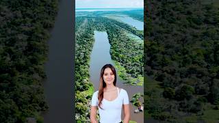 Why the Amazon Rainforest Matters! 🇧🇷#shorts #amazon #brasil #trending #fyp #facts #reels