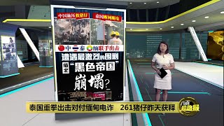中泰缅联手出击进行围剿   缅北“黑色帝国”将崩塌? | 八点最热报 13/02/2025