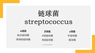 【USMLE】23分钟带你快速搞定六大链球菌（肺炎链球菌/草绿色链球菌/化脓性链球菌/无乳链球菌/牛链球菌/肠球菌）
