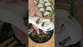 New Ways to Make Steamed Buns#Noodle food sharing