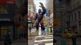 Central Park Picnic #quicklaughs #facts #snackablehumor #funny #comedyshorts #viralvideo