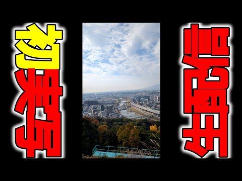 【生配信】初めての”””実写配信！！””””” と言っても散歩するだけだけど。。 【実写】