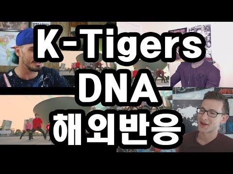 BTS 방탄소년단 - DNA K-Tigers ver 해외반응