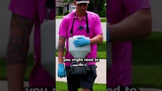 How To Get Rid of TICKS! 🕷️
