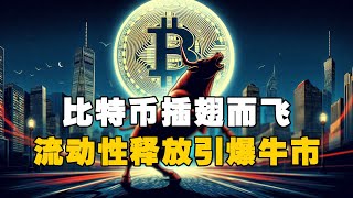 🚀比特币插翅而飞！流动性释放引爆牛市？！