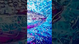 How to Draw Shark Week Art 12 #sharkweek #shark #sharks #discoverychannel #art #sharkattack