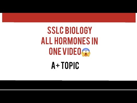 Sslc biology A+ topic| all hormones in one video.