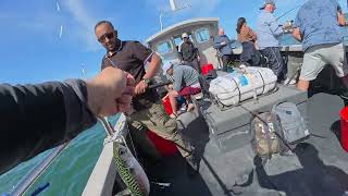 Whitby Mackeral Bash day 1 - on the Sea Mist Charter Boat - Sea Fishing UK