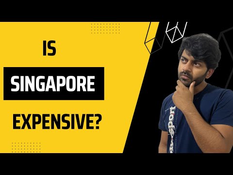 Expenses, Salaries & Savings for Software Engineer in Singapore | Social Life of an Expat