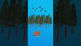 #IntoTheWild  #ManVsNature  #JungleJourney  #WildernessCalling  #SoloAdventure  #ExploreMore