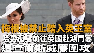 梅根被禁止踏入英王室！哈裏孤身前往英國赴鴻門宴，遭查爾斯威廉圍攻！！#梅根#哈裏#夏洛特公主#莉莉#阿奇#喬治王子#路易王子#安妮公主#凱特#威廉#查爾斯#卡米拉#史記有料