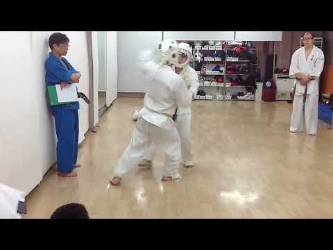 KUDO sparring3 (Yongjin Lee VS Park)