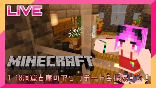 【Java版】1.18洞窟と崖のアップデートを探索する！Part8