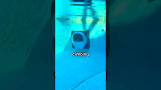 The World’s FIRST Smart Pool Cleaner - Dreame Z1 Pro!