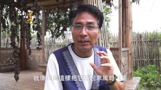 台南不是蓋的【東山區吉貝耍聽段洪坤老師話木棉茶】