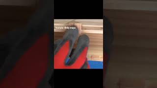 Fill the hole with lumber. / DIY節埋め#shorts #woodworking #tools #diy #industry #skills #asmr
