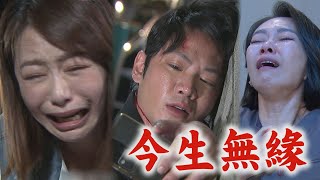 【願望】EP256 顧成為救詩涵被打S 愛倫見最後一面崩潰大哭"不該讓你去救人"｜完全娛樂