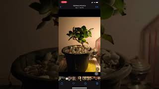 How to hide and unhide photos in iphone | Hide photos gro gallery