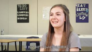 學生使用心得 用Lingvist 召喚你學英文的洪荒之力