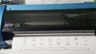 Roland Bn20 Smallest print Cut Job