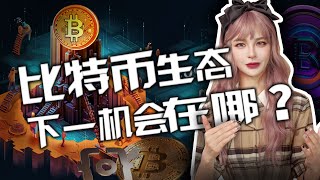 铭文过后，比特币生态的下一个机遇在哪？