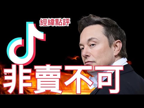 【經緯點評】中國不點頭  ! 馬斯克吞得下TikTok嗎？David’s Show 2025/01/15