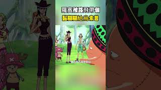 羅賓登上草帽團之後就被路飛帶偏了，抓起一把黏糊糊的東西就往烏索普的褲子上摩擦#onepiece #海賊王 #luffy